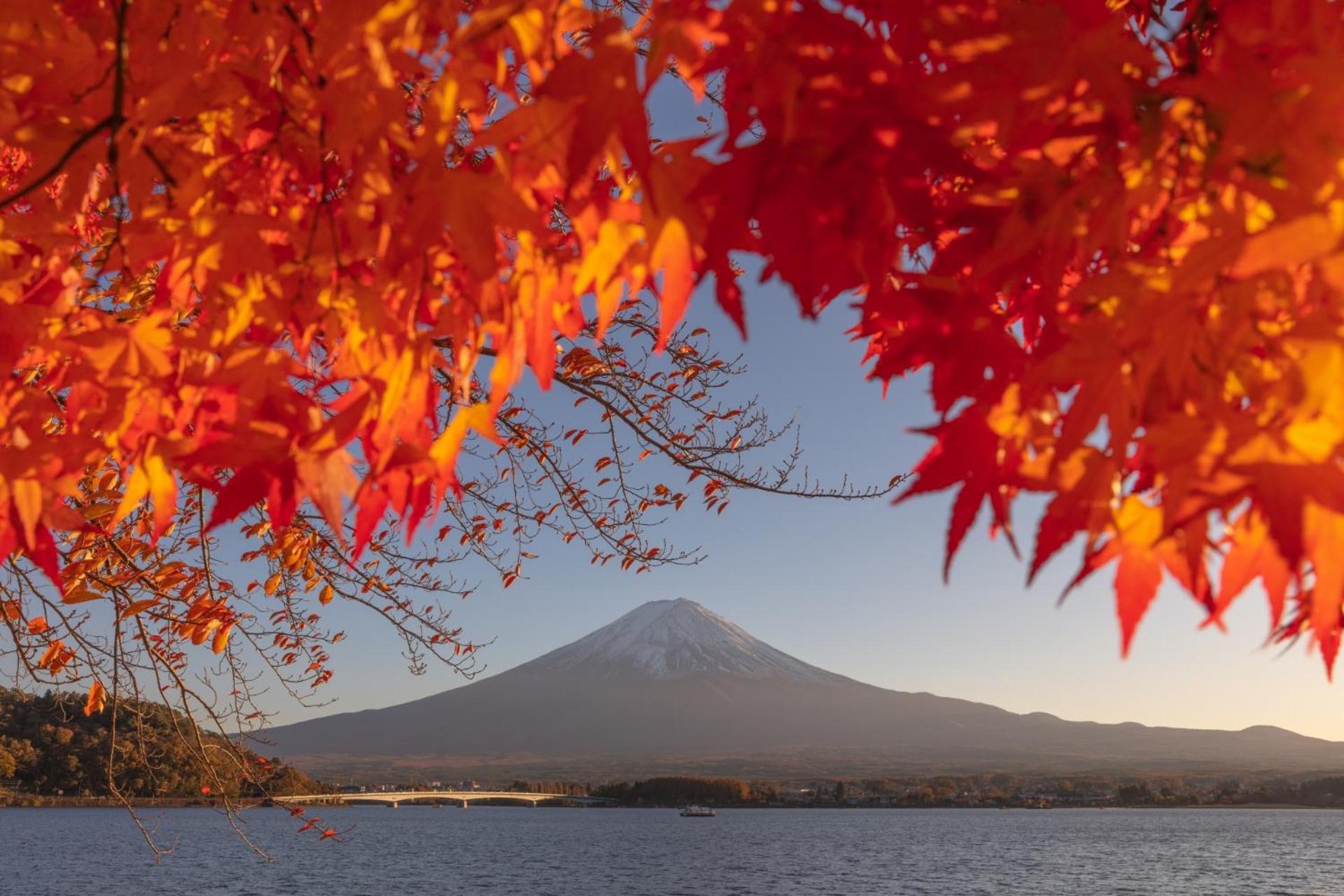 Mt Fuji Glamping Tourist Villa Kawaguchiko Fujikawaguchiko Eksteriør bilde